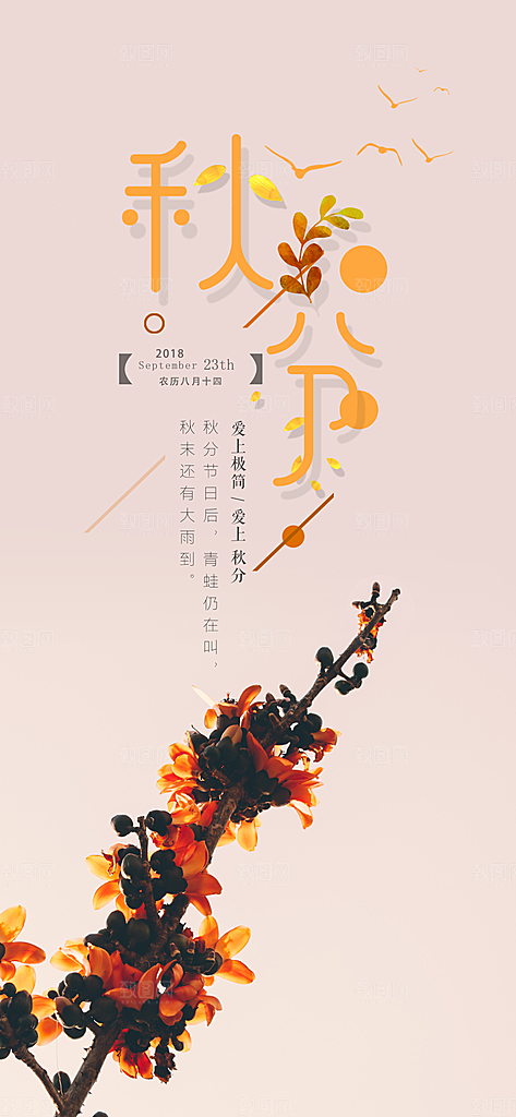 中国传统二十四节气秋分节气海报