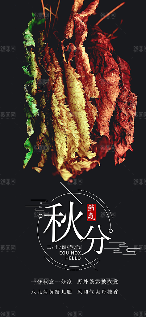 中国传统二十四节气秋分节气海报