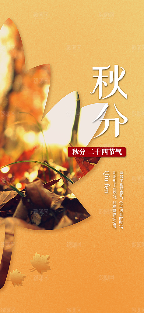 中国传统二十四节气秋分节气海报