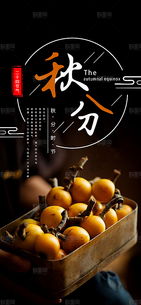 中国传统二十四节气秋分节气海报