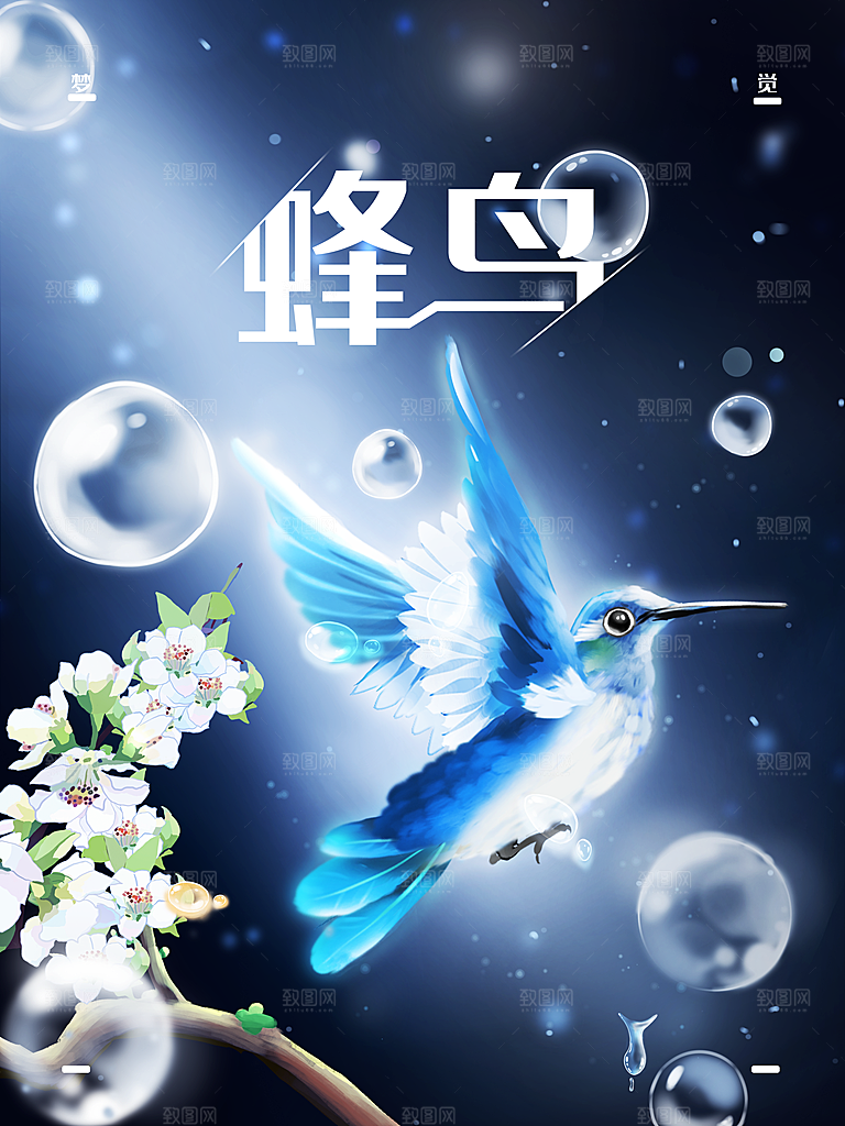梦觉蜂鸟宣传海报