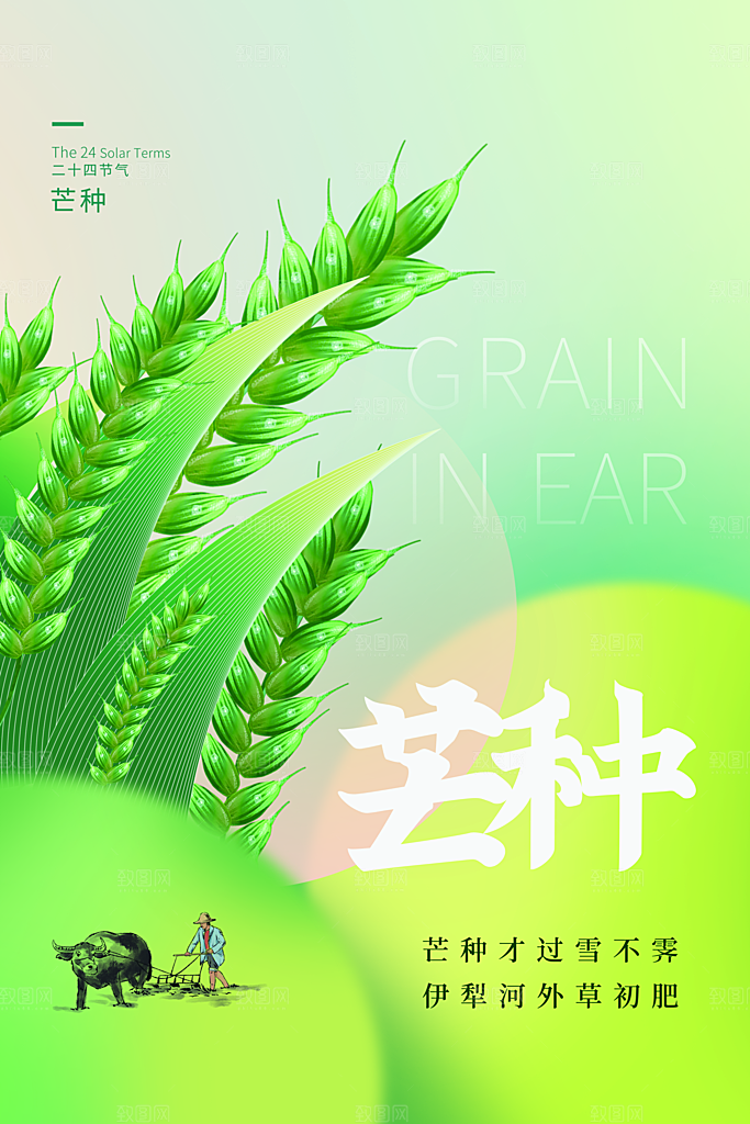 芒种节气海报设计