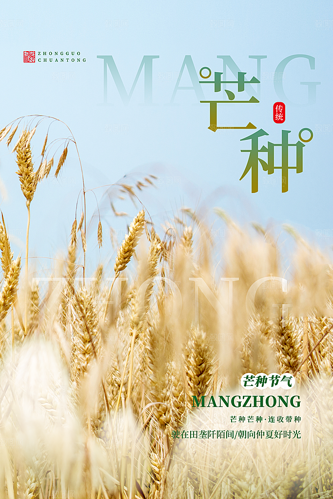 芒种节气海报设计素材