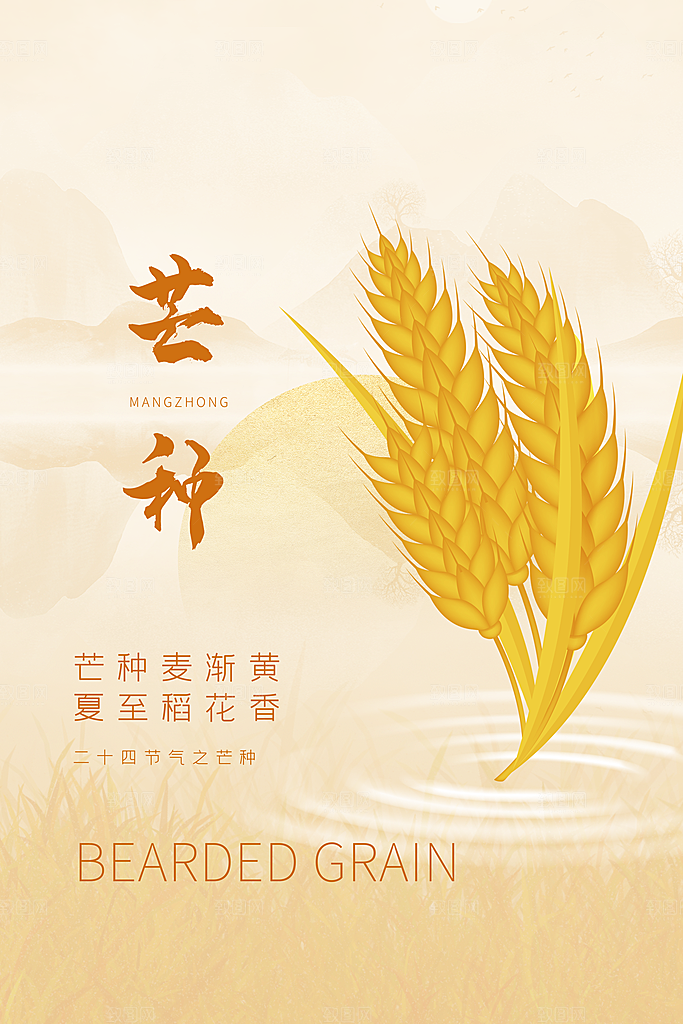 芒种节气海报设计素材