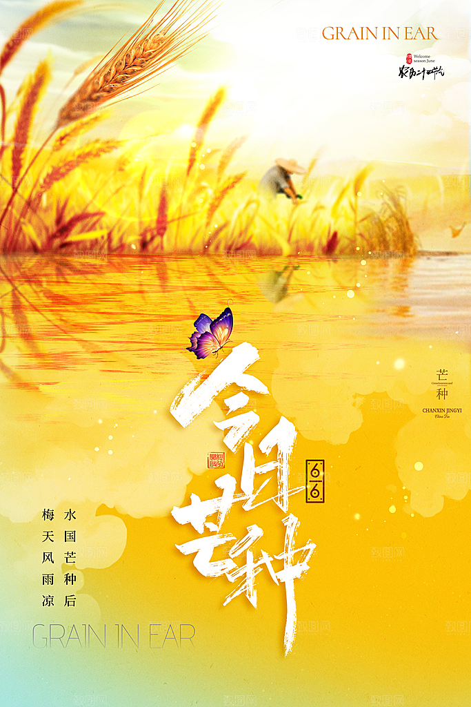 芒种节气海报设计素材