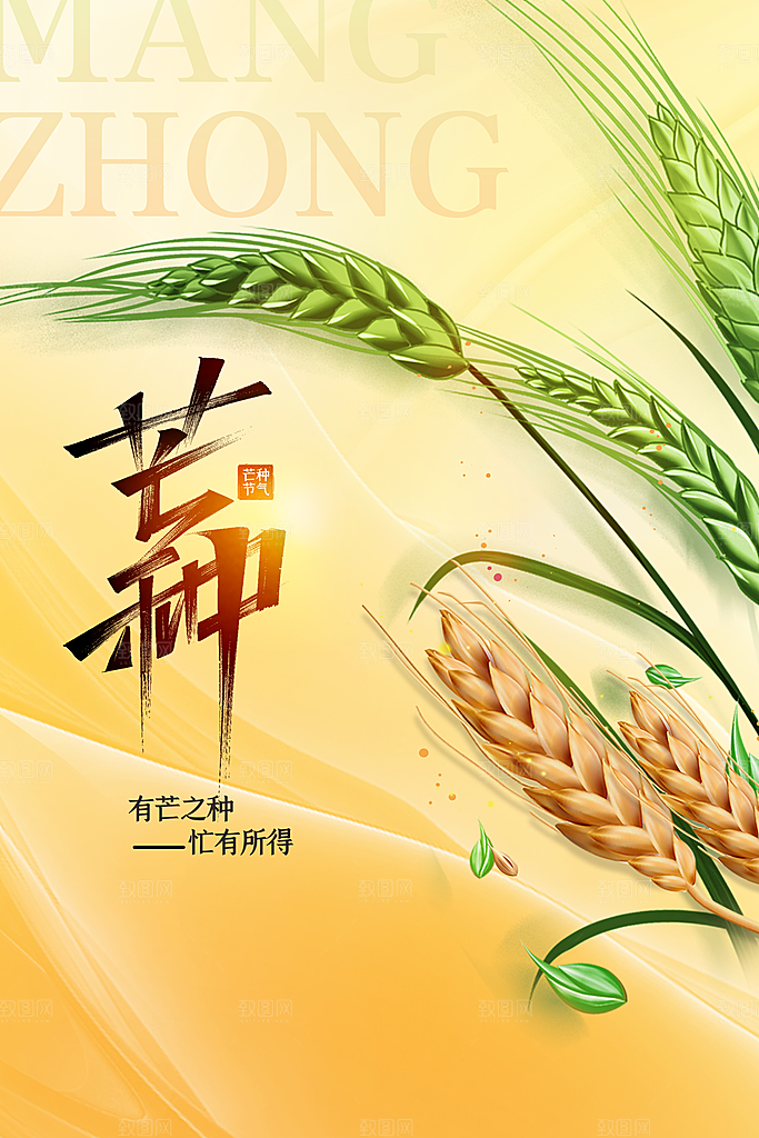 芒种节气海报设计素材