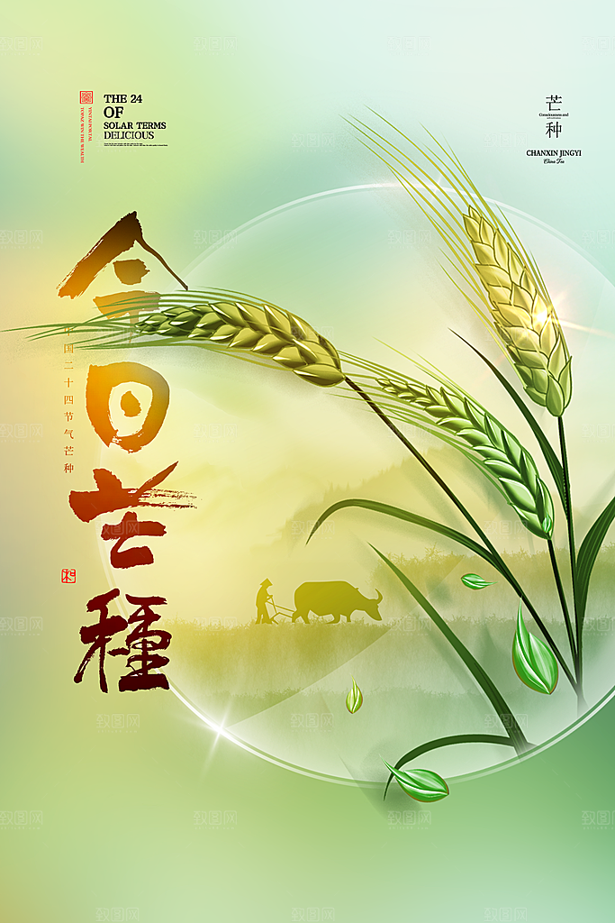 芒种节气海报设计素材