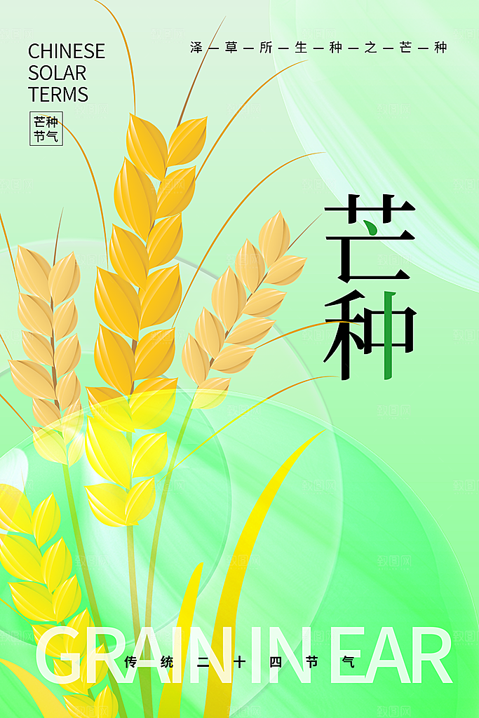 芒种节气海报设计素材