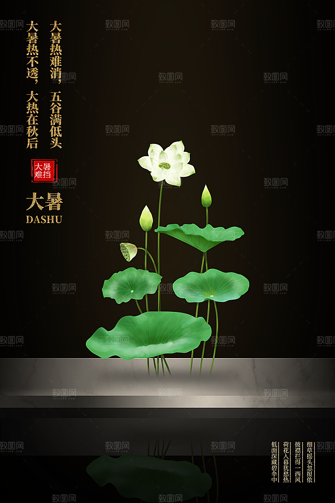 大暑节气简约大气海报