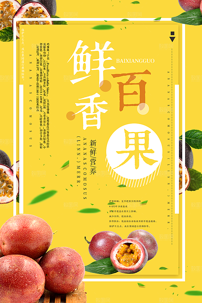 百香果宣传广告海报