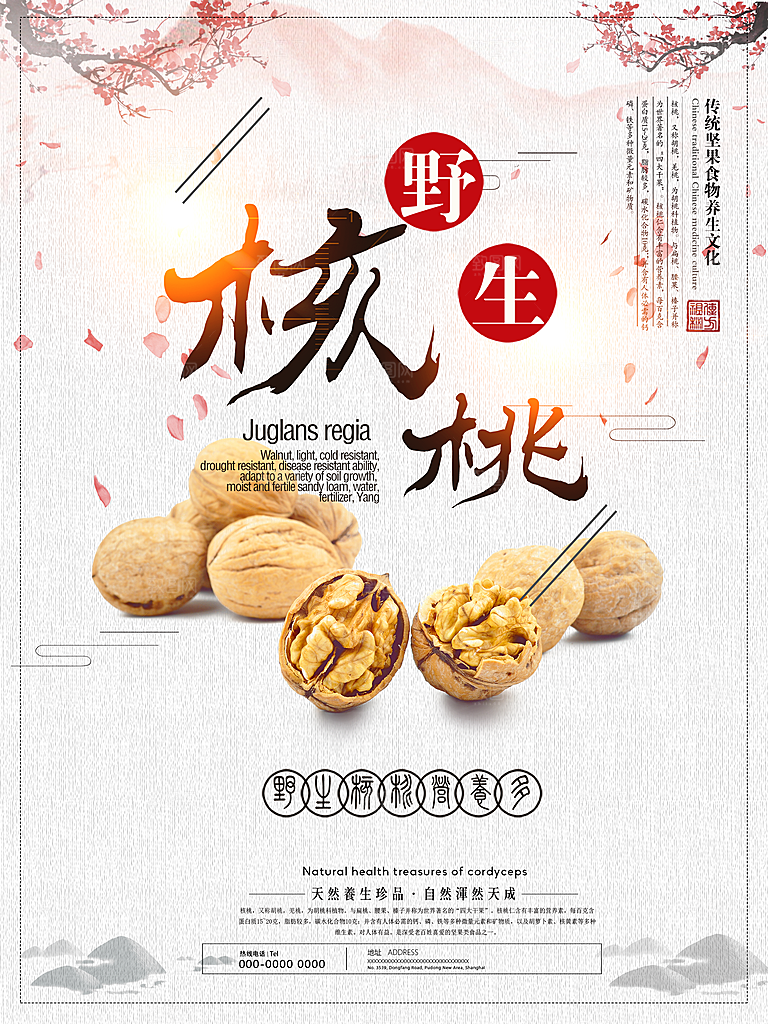 核桃宣传海报设计素材
