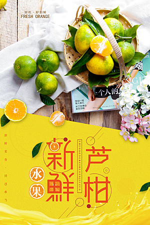 橘子椪柑宣传海报设计素材