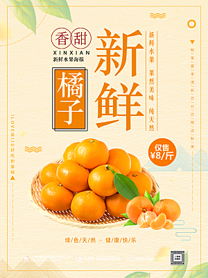 橘子椪柑宣传海报设计素材