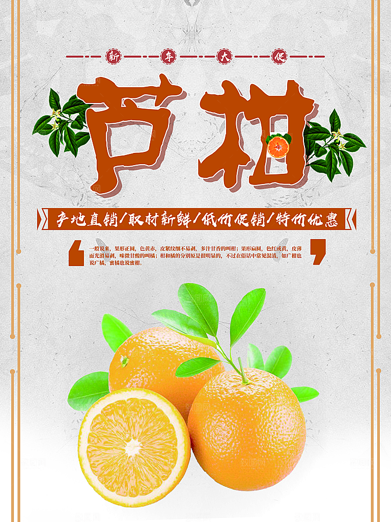 橘子椪柑宣传海报设计素材
