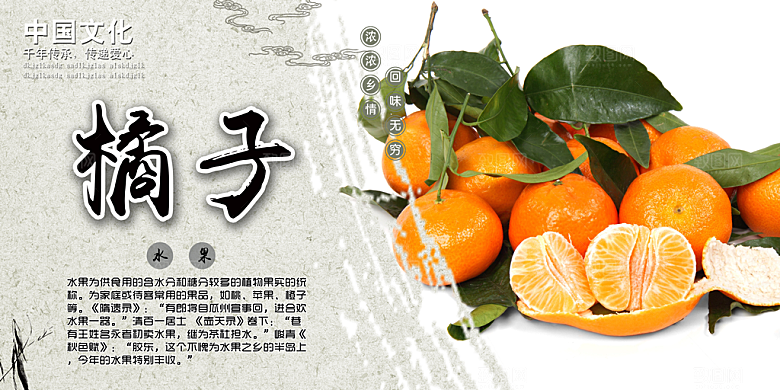 蜜桔柑橘宣传海报展板设计素材