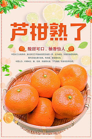 椪柑橘子蜜桔宣传海报
