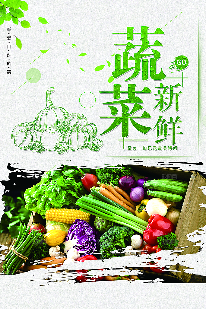 新鲜蔬菜宣传海报设计