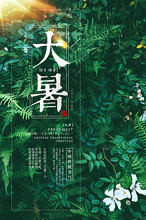 大暑节气简约大气海报