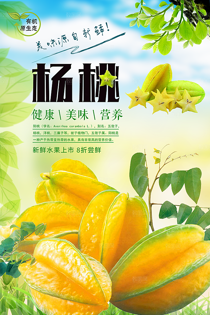 杨桃宣传海报展板设计素材