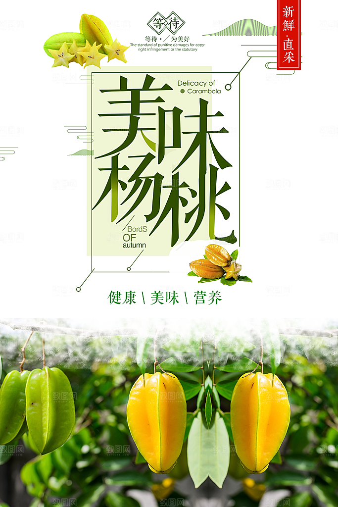 杨桃宣传海报展板设计素材