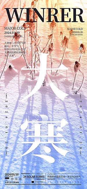传统节气大寒海报模板
