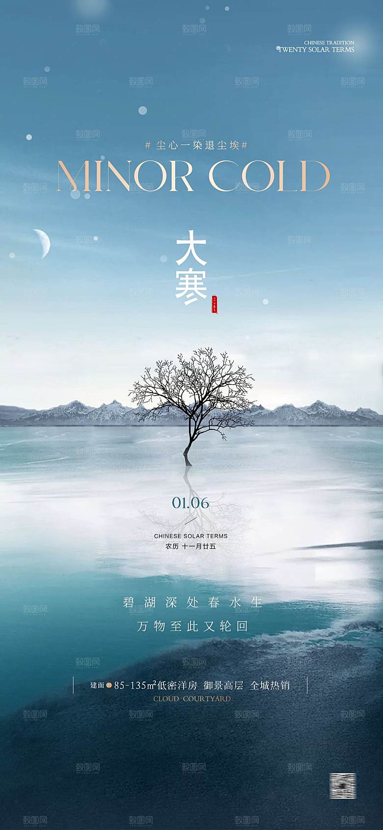 大寒节气简约大气海报