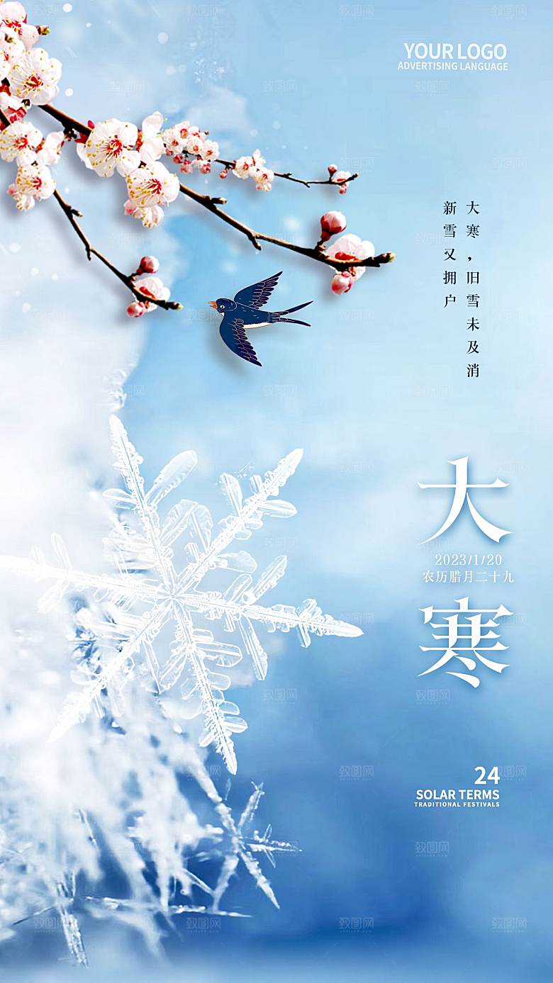 大寒节气简约大气海报
