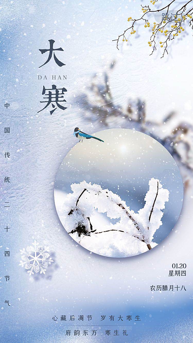大寒节气简约大气海报