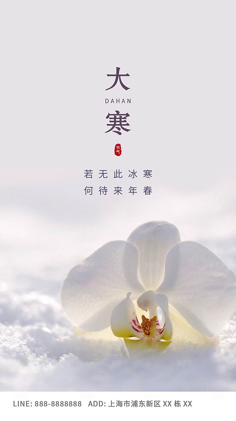 大寒节气简约大气海报