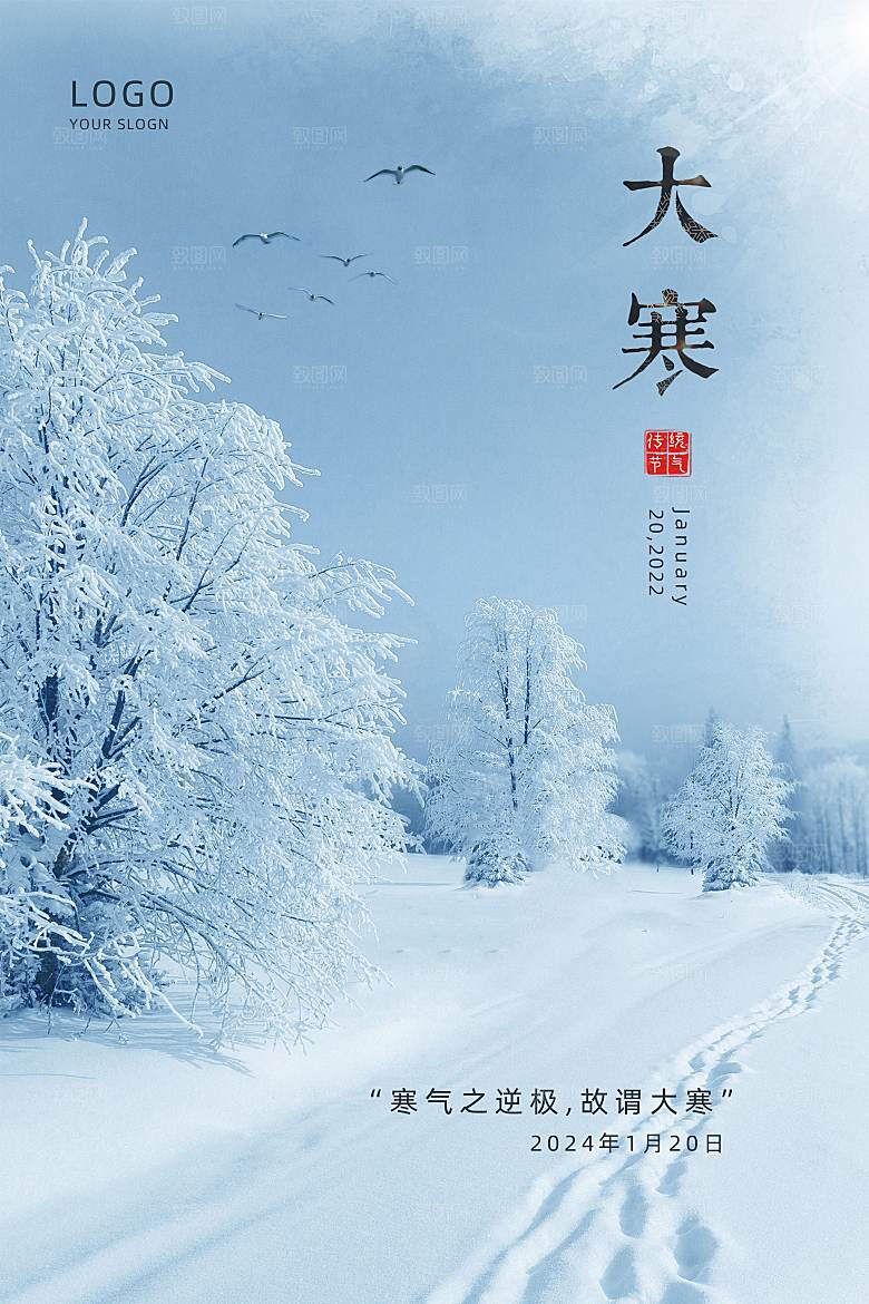 大寒节气简约大气海报