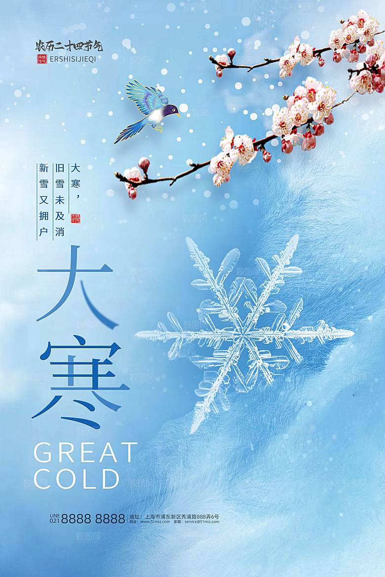 大寒节气简约大气海报