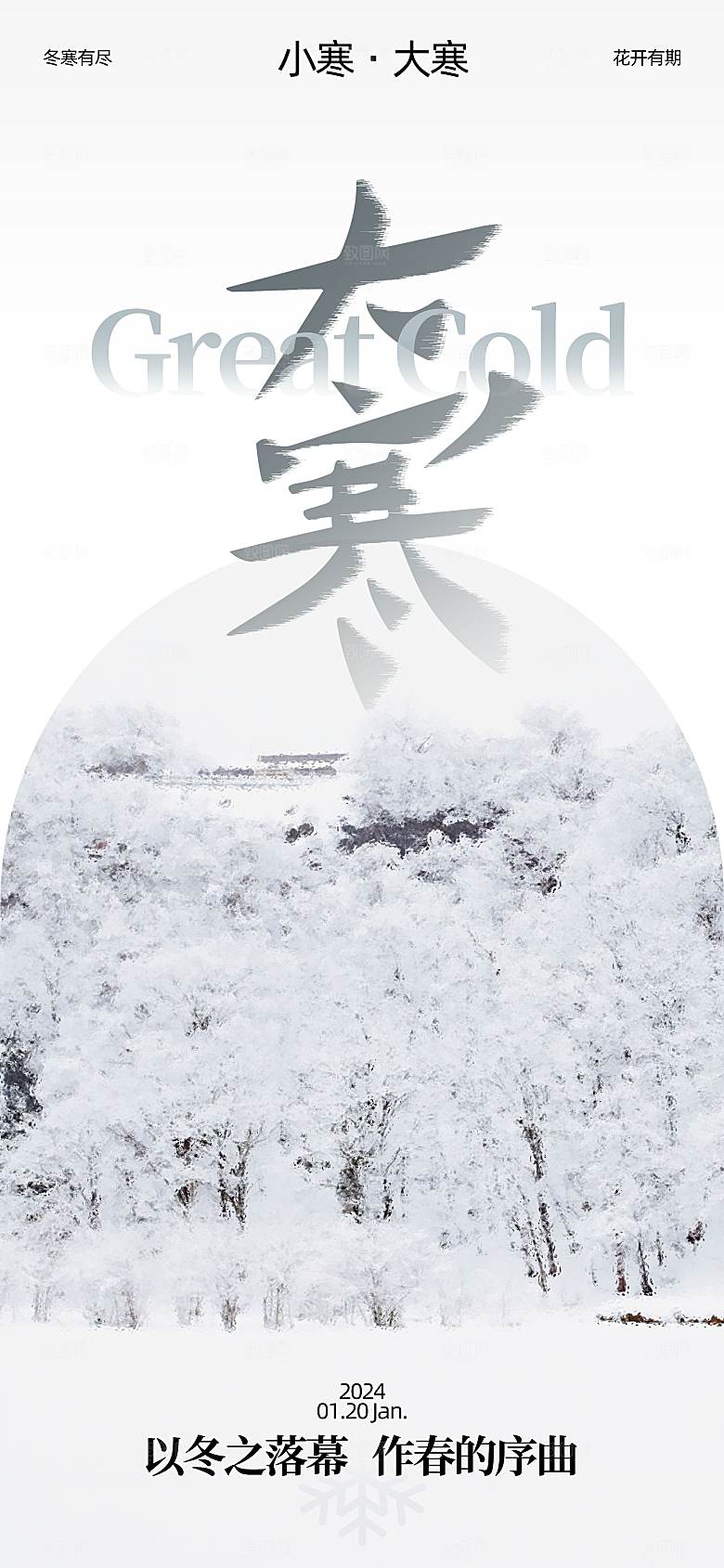 大寒节气简约大气海报