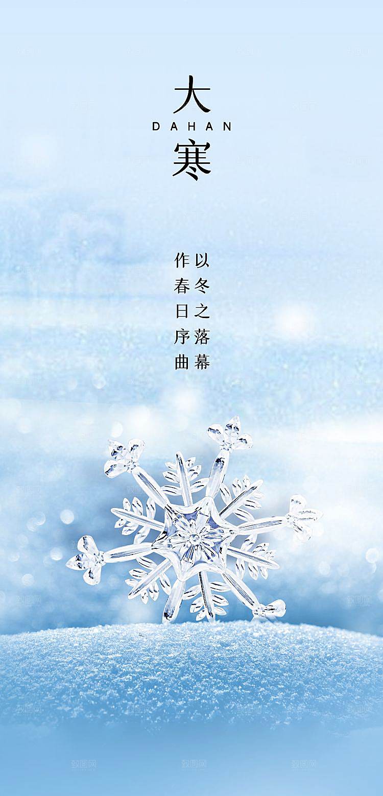 传统节气大寒海报模板