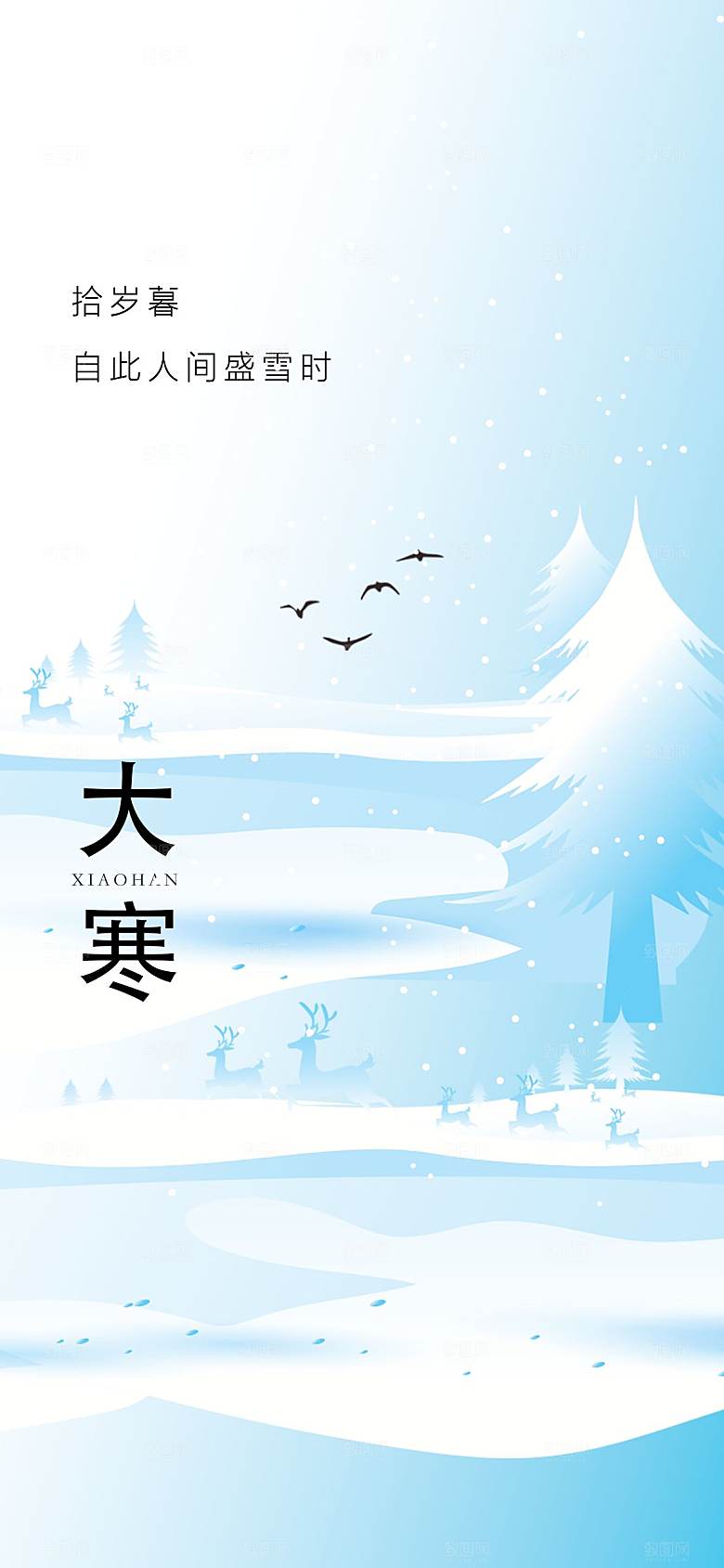 大寒节气简约大气海报