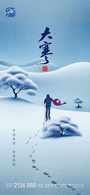 大寒节气简约大气海报