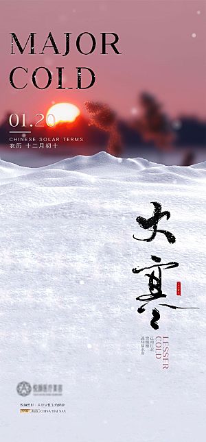 大寒节气简约大气海报