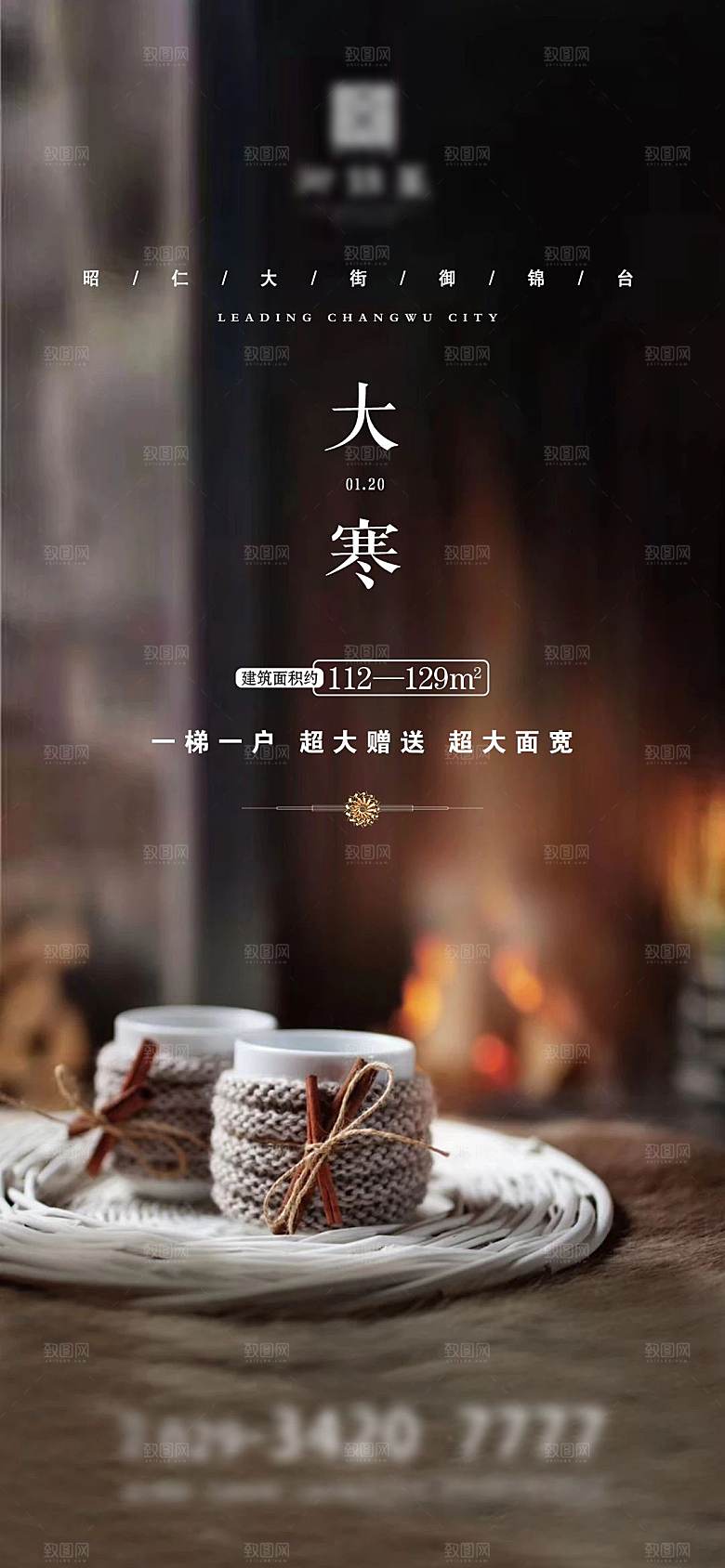 大寒节气简约大气海报