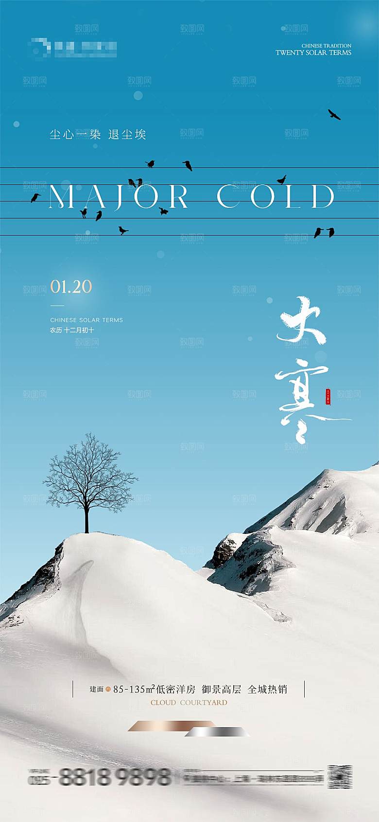 大寒节气简约大气海报