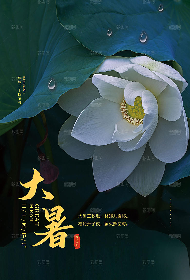 大暑节气简约大气海报