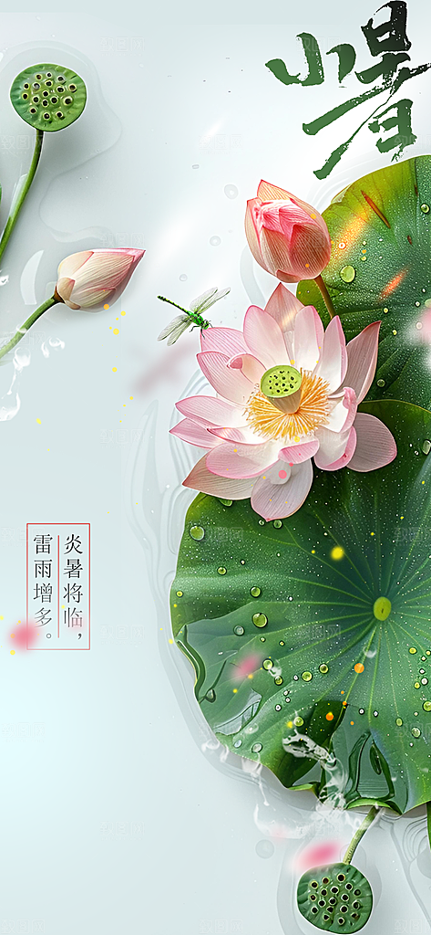 小暑节气传统活动海报