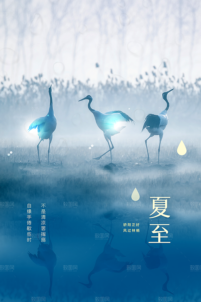 夏至节气传统活动宣传海报