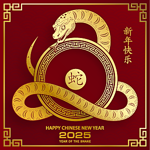 蛇年2025年新年春节红色中式蛇纹元素图