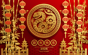 蛇年2025年新年春节红色中式蛇纹元素图