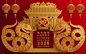 蛇年2025年新年春节红色中式蛇纹元素图