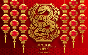 蛇年2025年新年春节红色中式蛇纹元素图