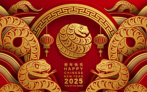 蛇年2025年新年春节红色中式蛇纹元素图