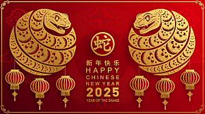 蛇年2025年新年春节红色中式蛇纹元素图