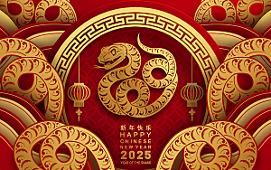 蛇年2025年新年春节红色中式蛇纹元素图