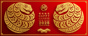 蛇年2025年新年春节红色中式蛇纹元素图