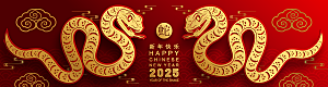 蛇年2025年新年春节红色中式蛇纹元素图